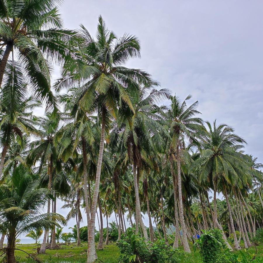 Honey Moon Beach Resort ANDAMAN AND NICOBAR ISLANDS Bagian luar foto